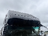 日野テラヴィ