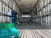 日野テラヴィ
