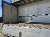 日野テラヴィ