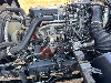 いすずフォワード