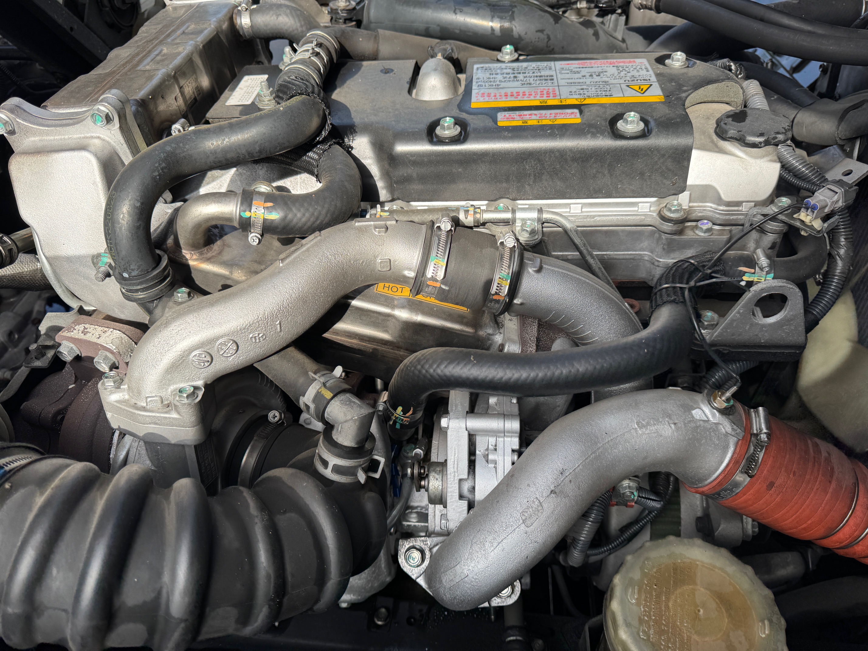 いすずフォワード