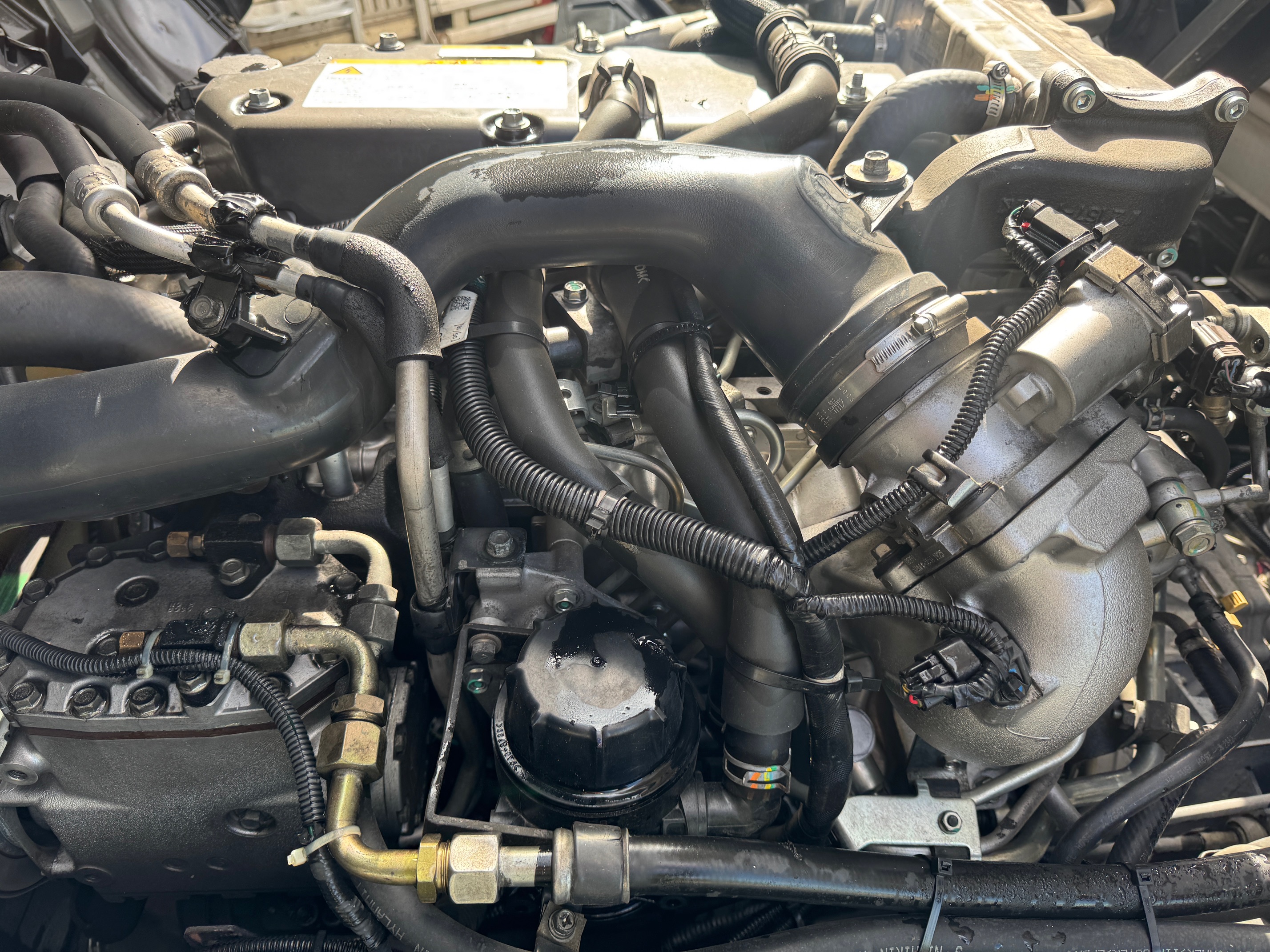 いすずフォワード